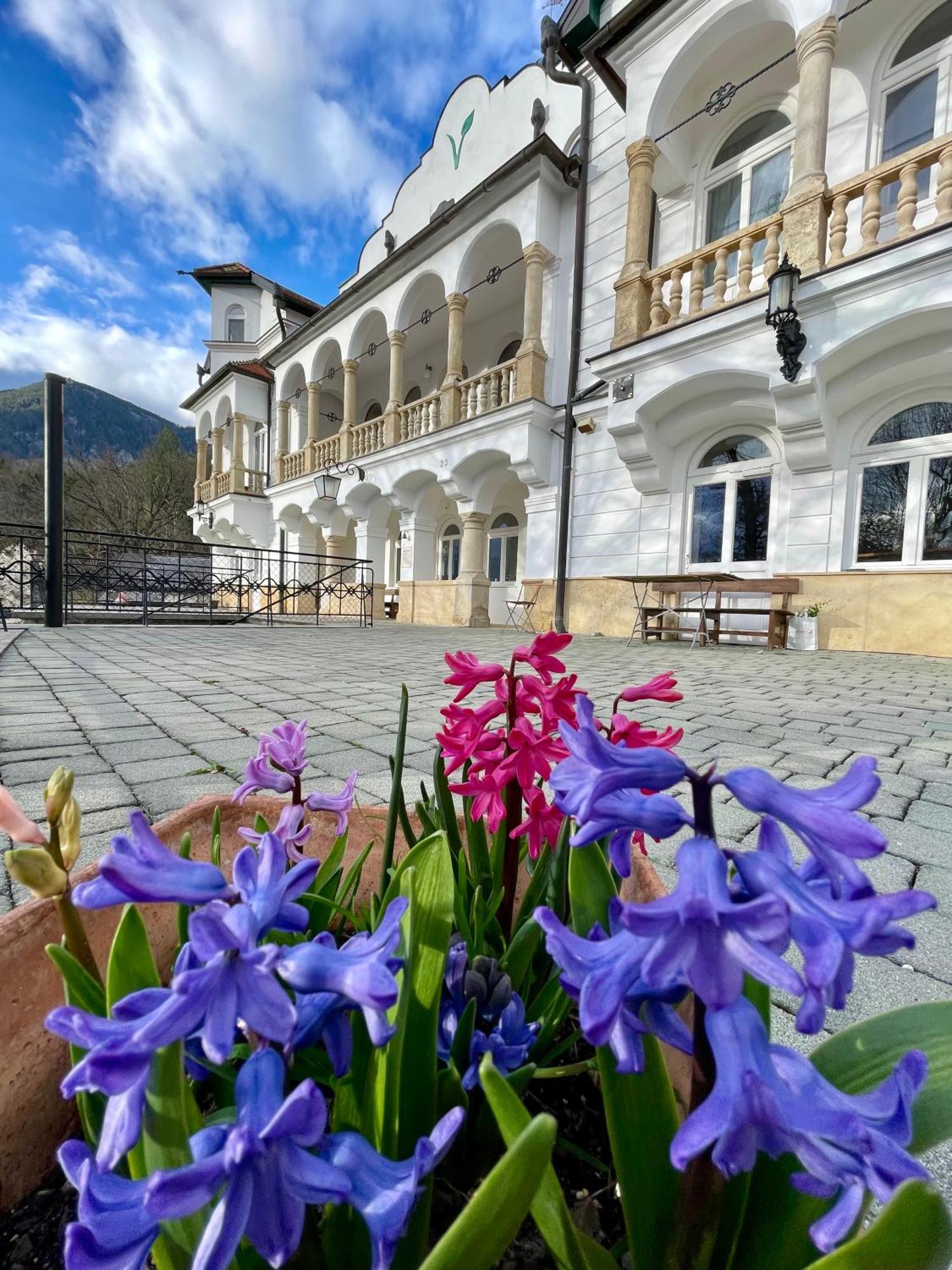 Waldschloessl Schneedoerfl Aparthotel Reichenau Exterior foto